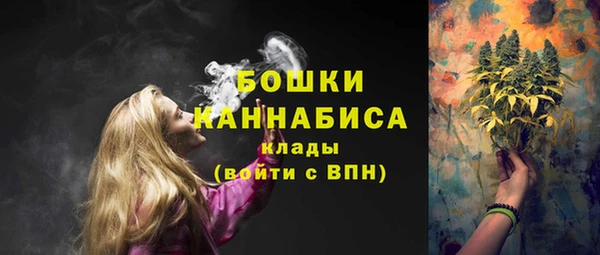 спиды Арсеньев