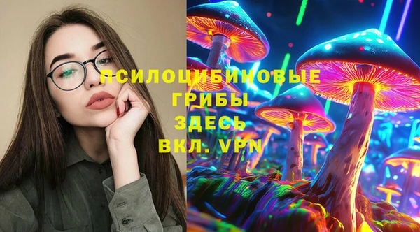 трава Армянск