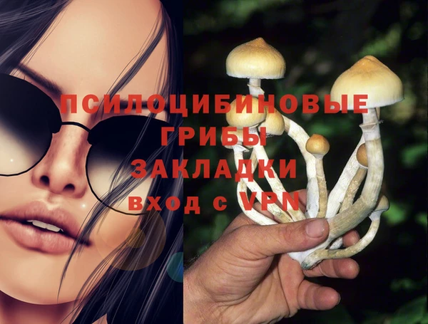 трава Армянск