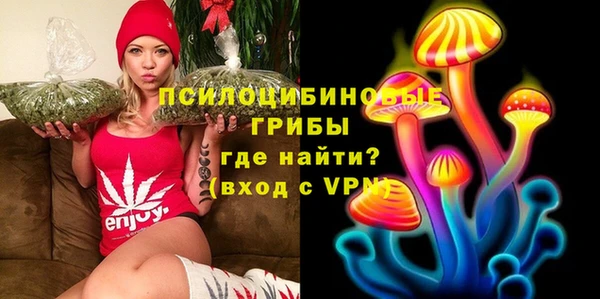 спиды Арсеньев